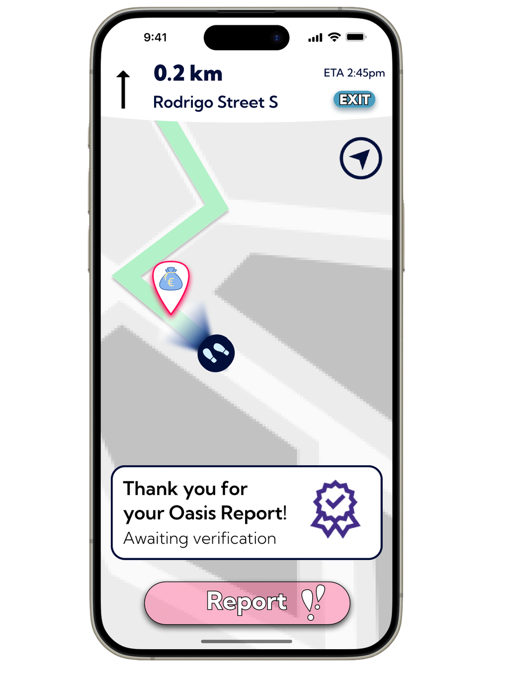 Successful Safety Report